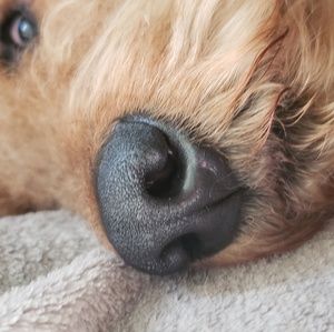 Meet your Posher, Ana